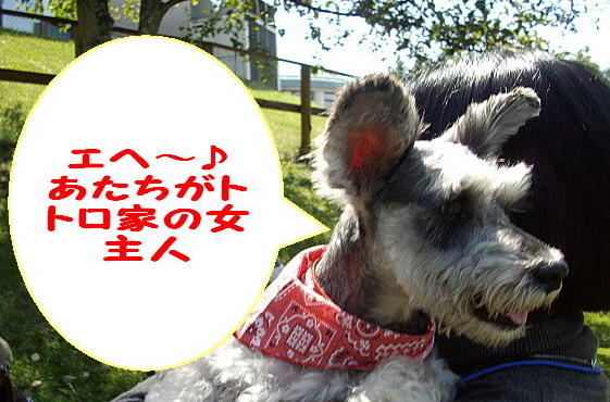 c0138198_16134793.jpg