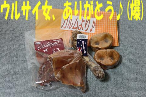 e0100007_221471.jpg
