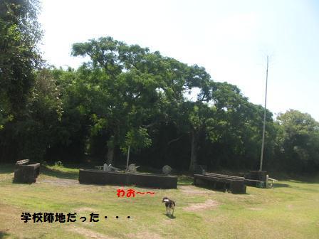 d0104209_20525739.jpg