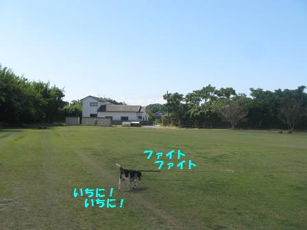 d0104209_20552420.jpg