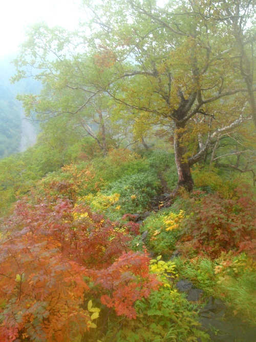 c0177814_10555343.jpg