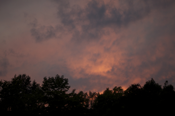 f0136815_18555286.jpg