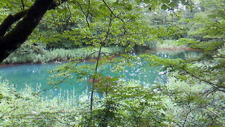 b0059016_16374510.jpg