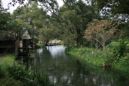 f0097620_15571087.jpg