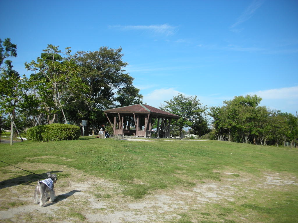 d0149722_1140972.jpg