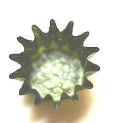 c0200223_8464570.jpg