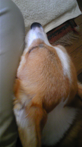 e0071225_12572072.jpg