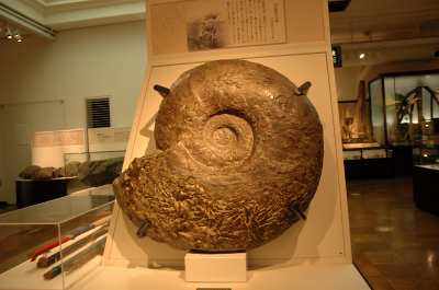 e0064128_2325619.jpg