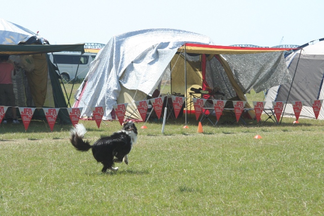 b0085331_11135264.jpg