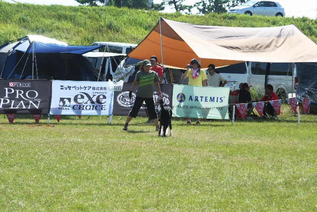 b0085331_1116665.jpg
