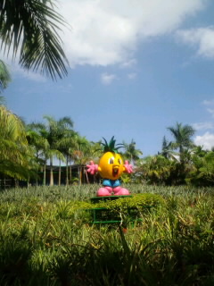 c0072734_25569.jpg