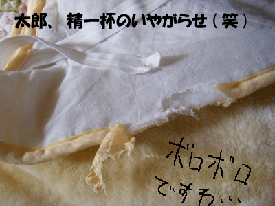 f0008935_15395215.gif