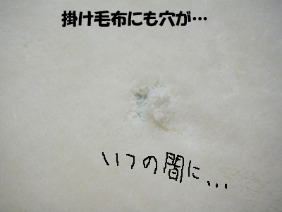 f0008935_15403445.gif