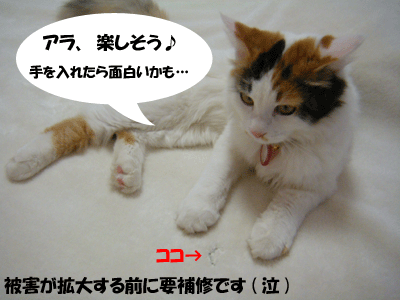 f0008935_1542319.gif