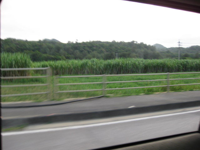 f0025741_23584954.jpg