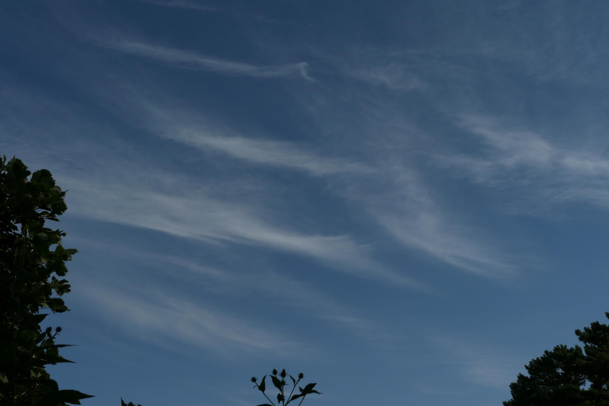 b0190242_1105386.jpg