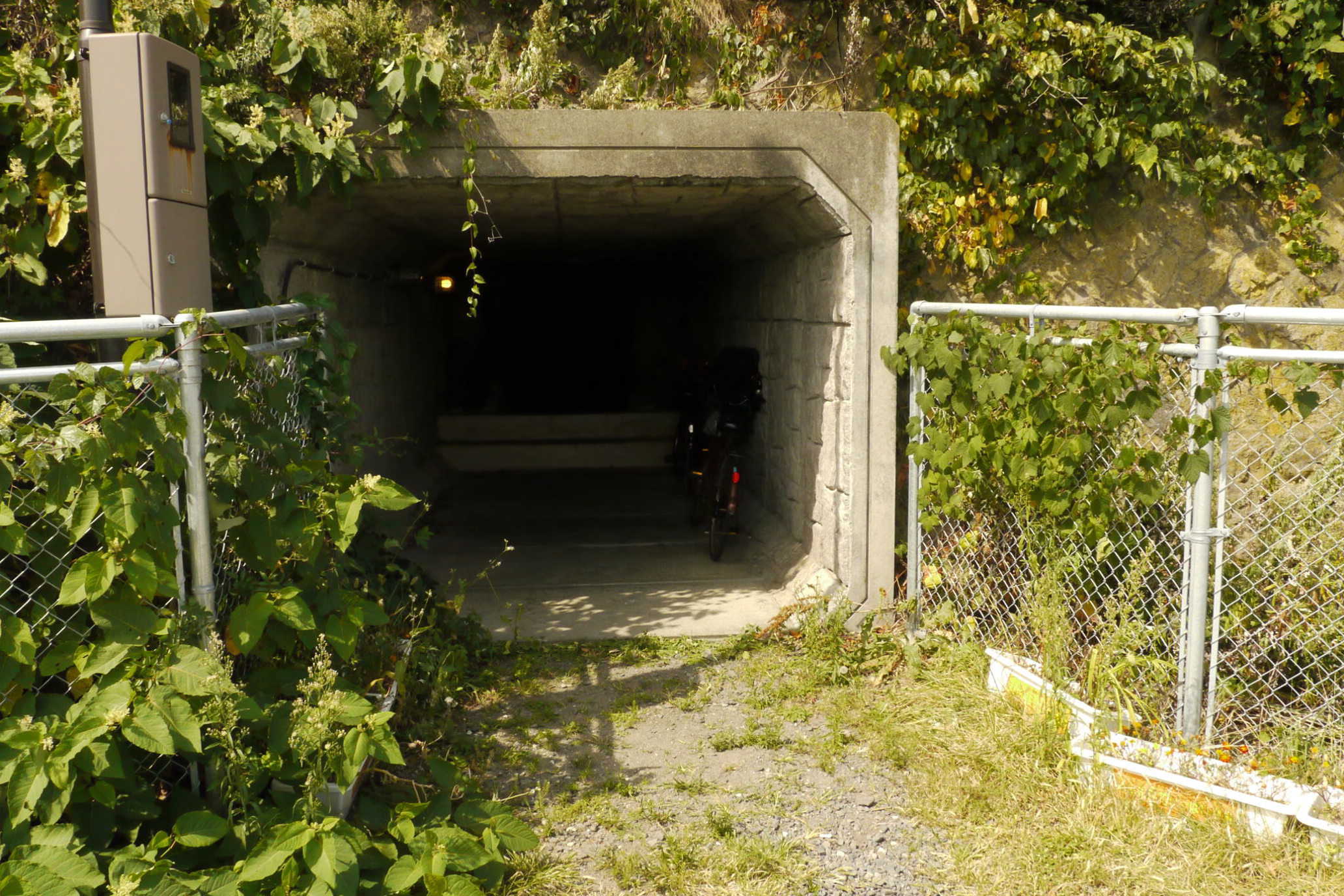 b0190242_1171515.jpg
