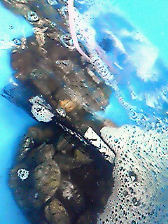 c0119142_5375065.jpg