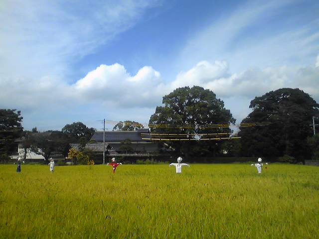 a0125343_17103058.jpg