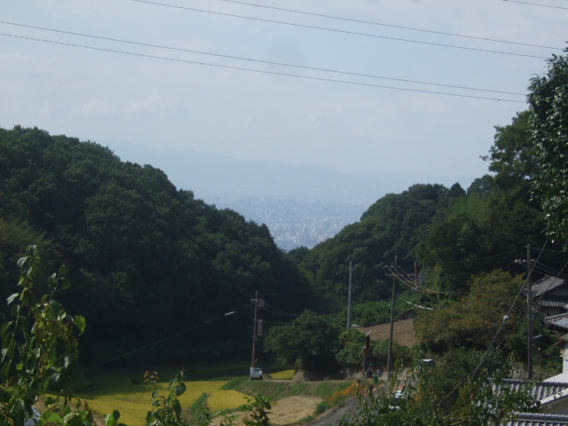 e0085543_16362890.jpg