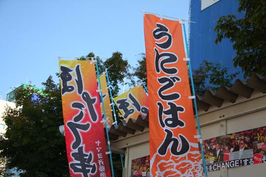 a0042044_011026.jpg