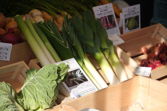 a0042044_023752.jpg