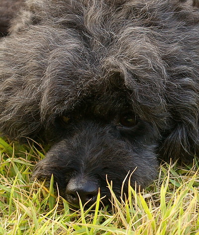 d0026745_1431346.jpg