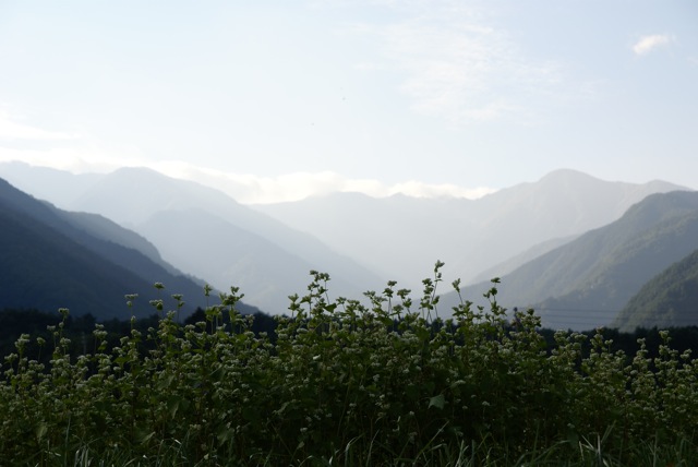 c0190847_22304474.jpg