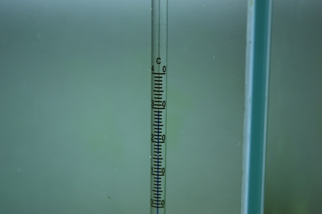 e0152647_23421081.jpg