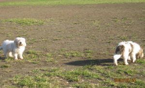e0121548_2120119.jpg