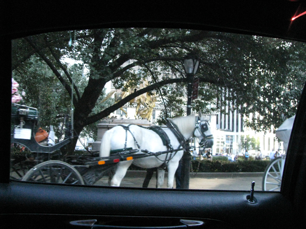 d0084750_23352021.jpg