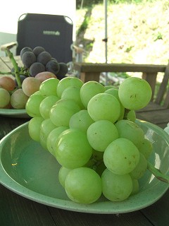 f0009451_2141778.jpg