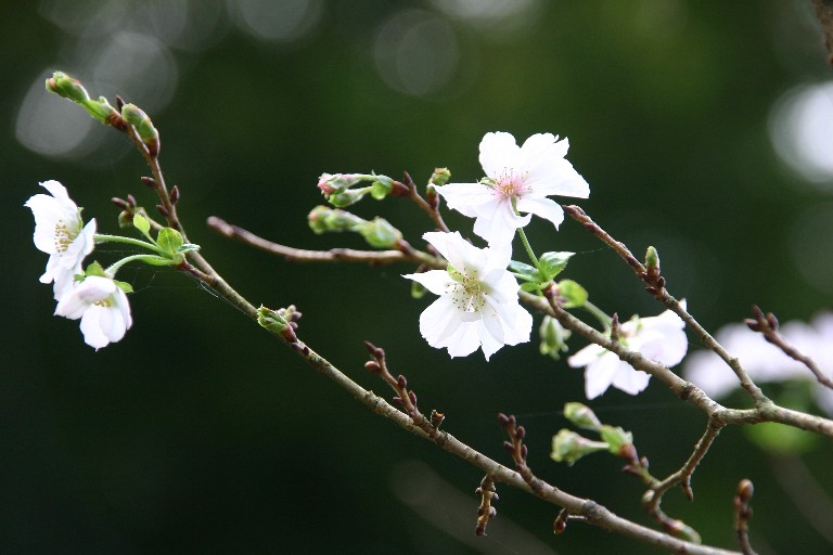 f0206452_18131128.jpg