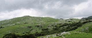 d0132155_8341893.jpg