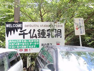 d0132155_8401737.jpg