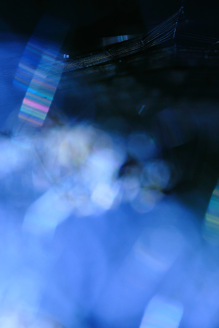d0148060_17113691.jpg
