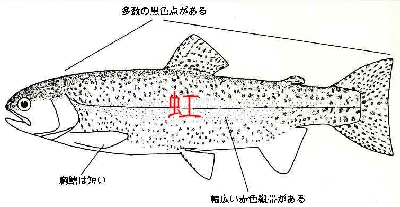 c0018561_2226546.jpg