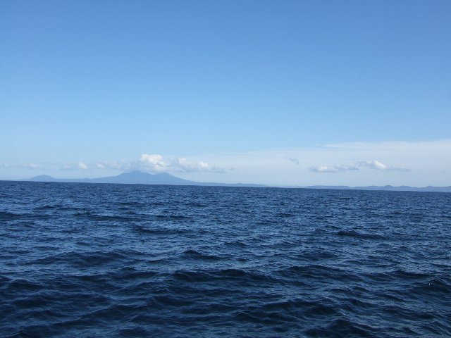d0129962_14563120.jpg