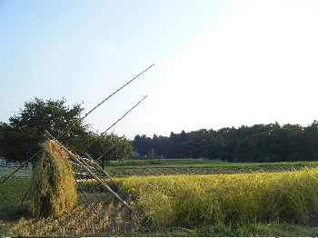 b0079965_603981.jpg