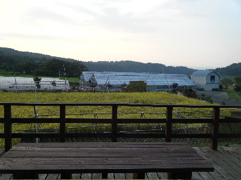 b0079965_613838.jpg