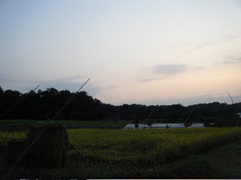 b0079965_615257.jpg