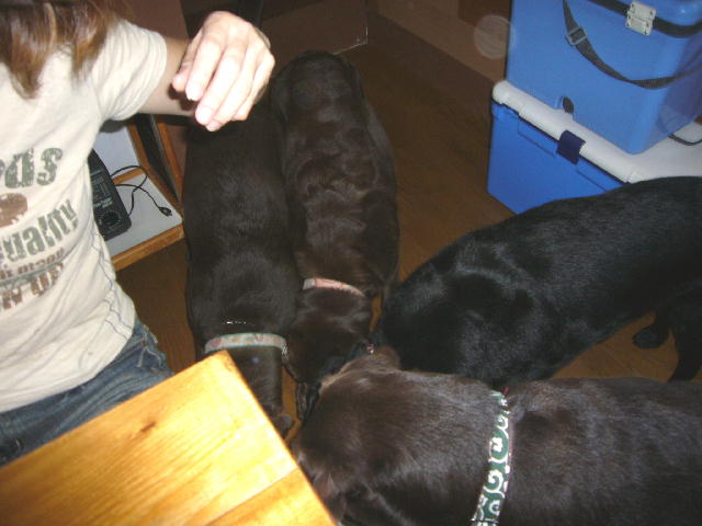 f0057565_11442763.jpg