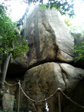 f0054677_903078.jpg