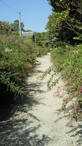 f0116278_19112267.jpg