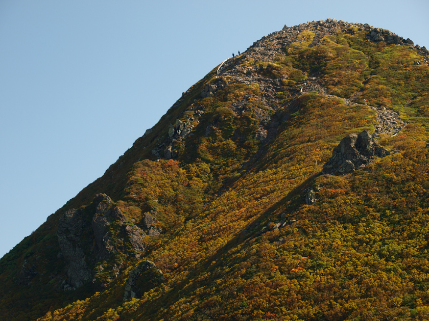 d0152981_142441.jpg