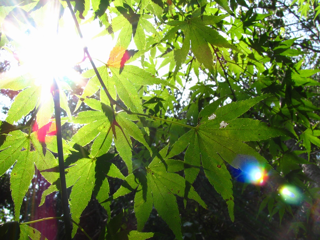 e0024081_17272370.jpg