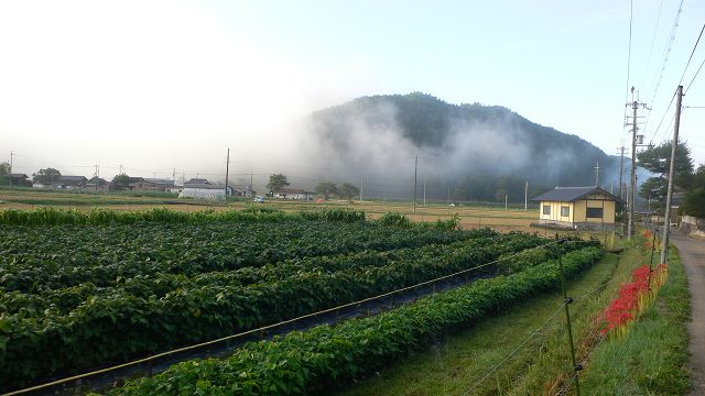 b0042882_10215561.jpg