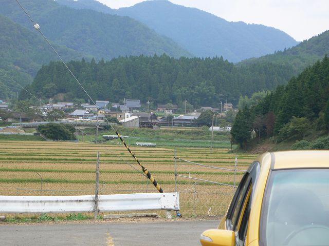 b0042882_1102044.jpg