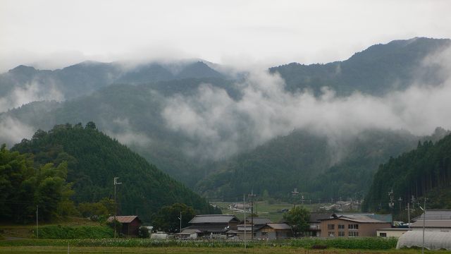 b0042882_11464221.jpg