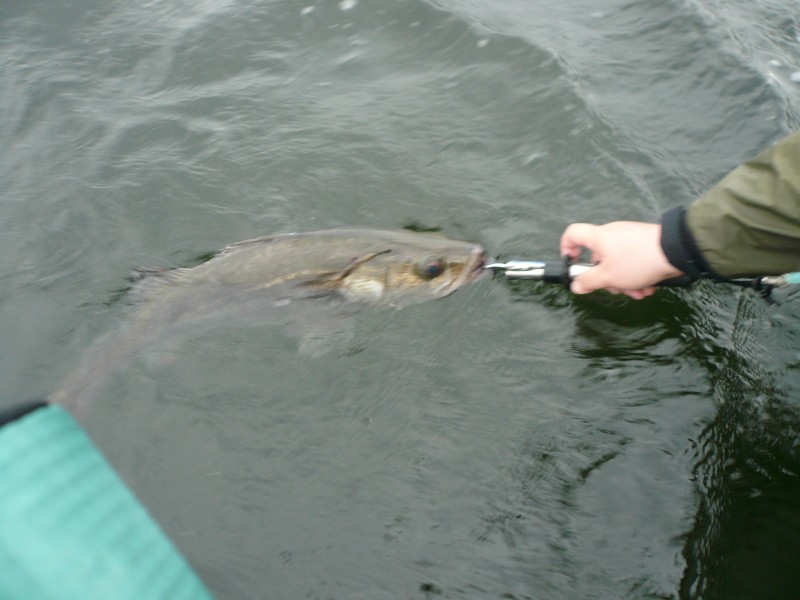 f0140384_1524953.jpg